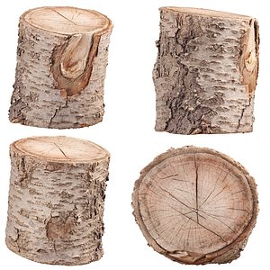 3D Scanned Tree Log Realistic Model With LOD Vol 01 3D