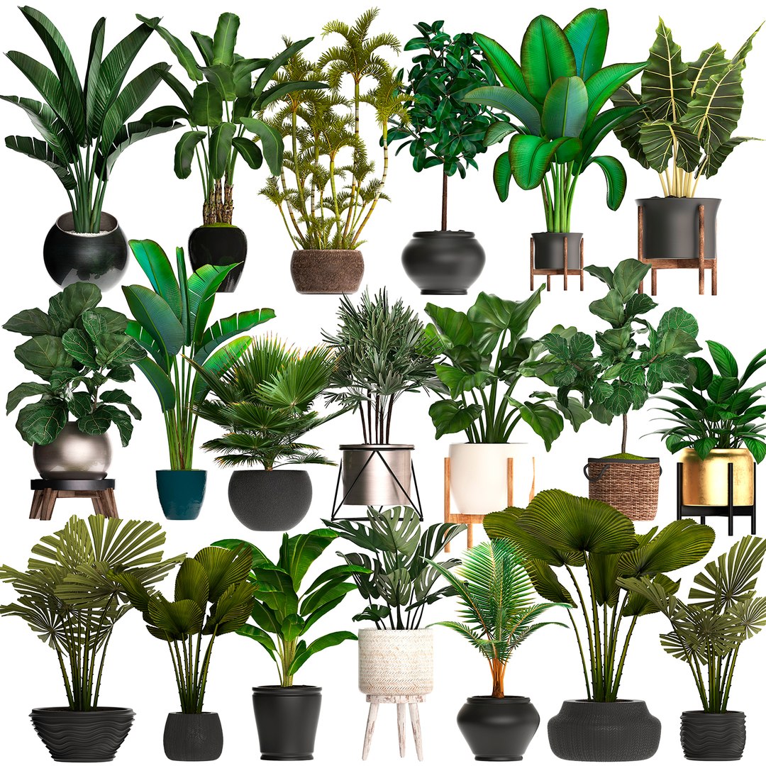 New Plants Pots Interior 3D Model - TurboSquid 1533672