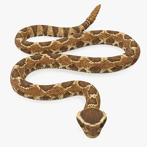 light rattlesnake crawling pose 3D model
