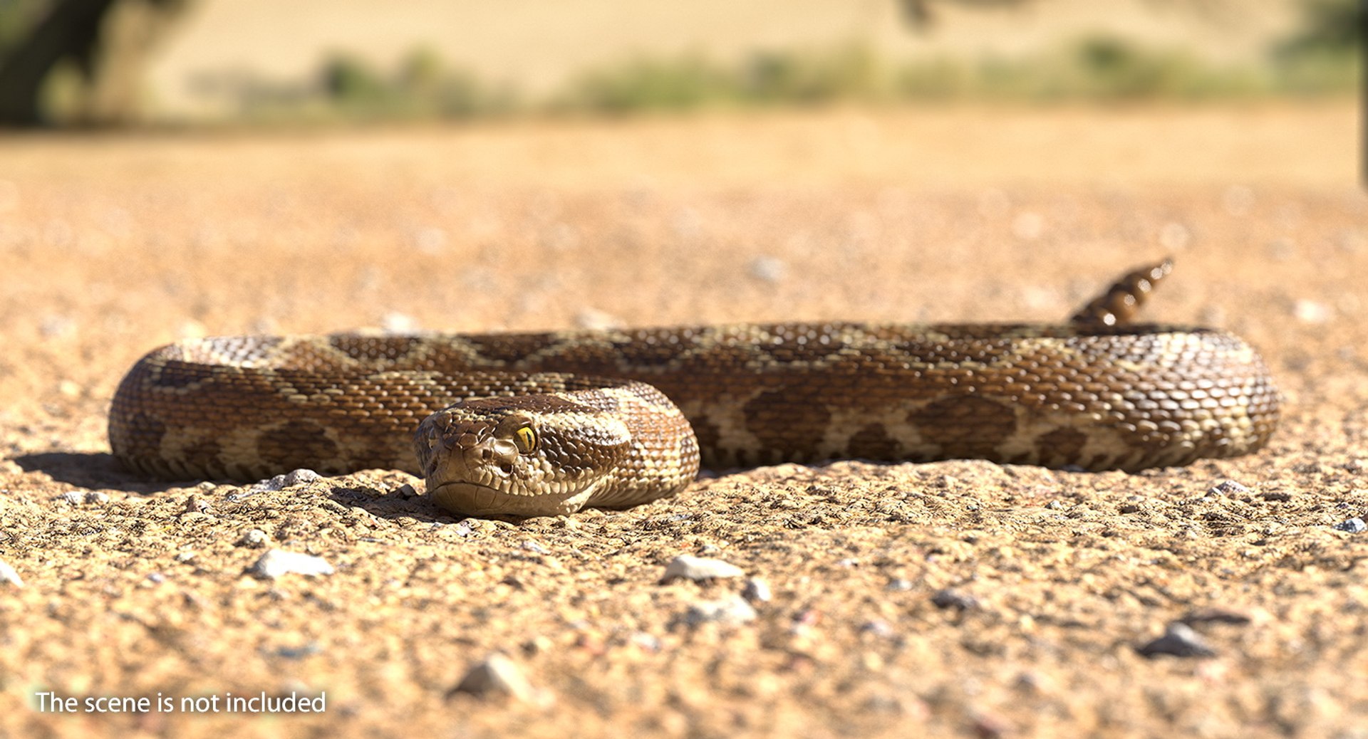 Light Rattlesnake Crawling Pose 3D Model - TurboSquid 1398422