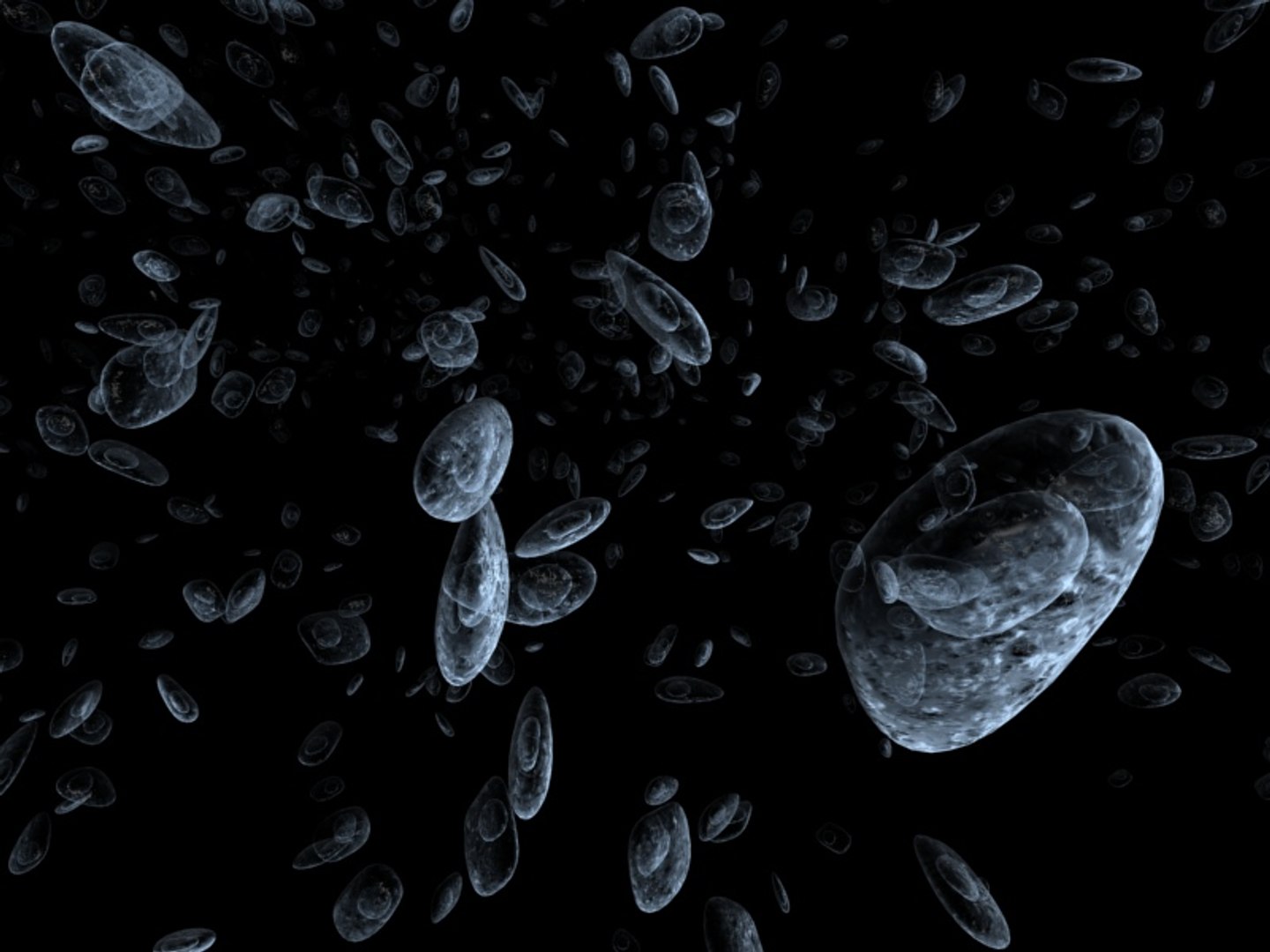 Cells Max