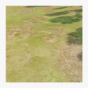 Seamless Meadow Ground PBR Material - 16K