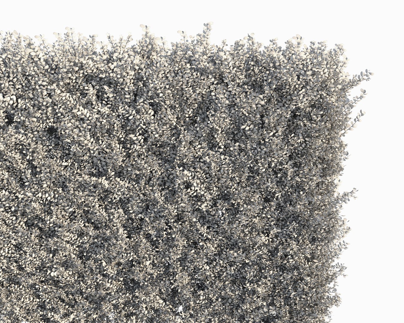 3d Vertical Hedge Multiscatter Model
