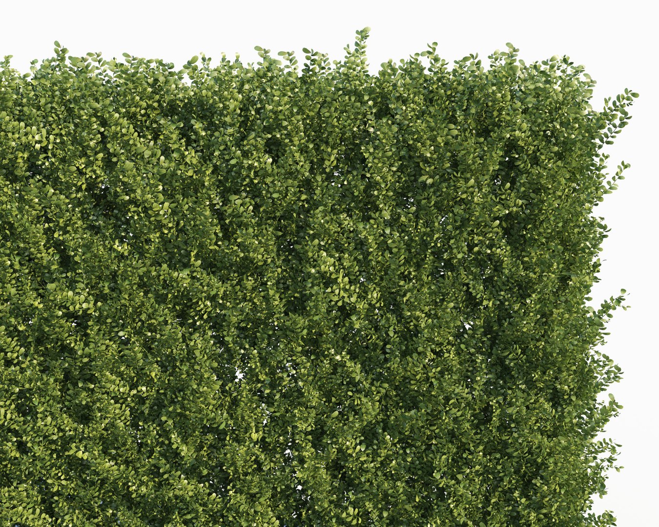 3d Vertical Hedge Multiscatter Model