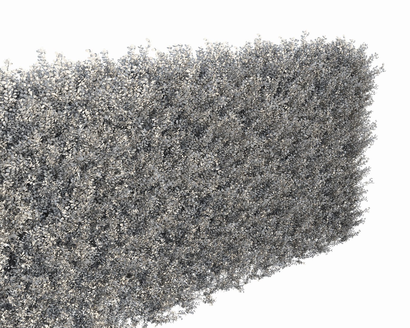 3d Vertical Hedge Multiscatter Model