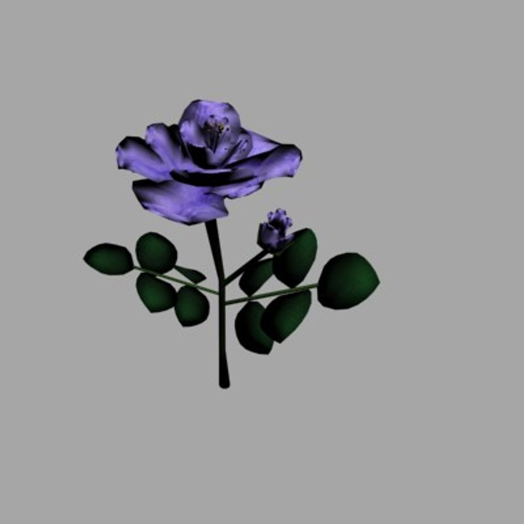 3d Roses Flowers Model