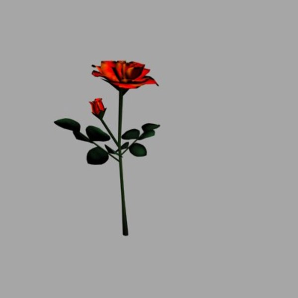 3d roses flowers model