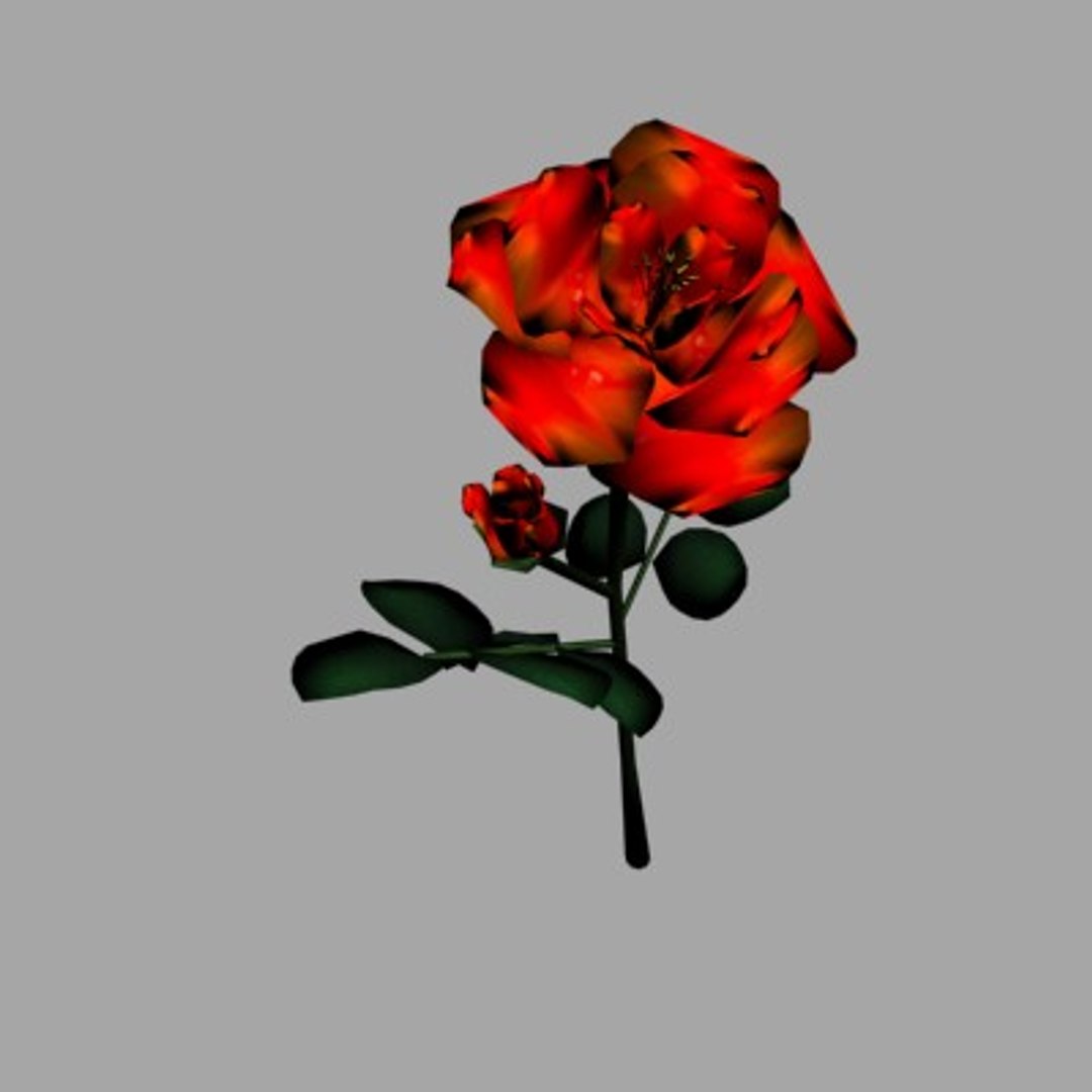 3d Roses Flowers Model