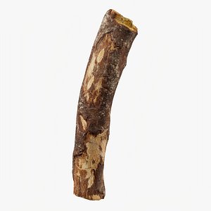 Scanned Tree Wood 04