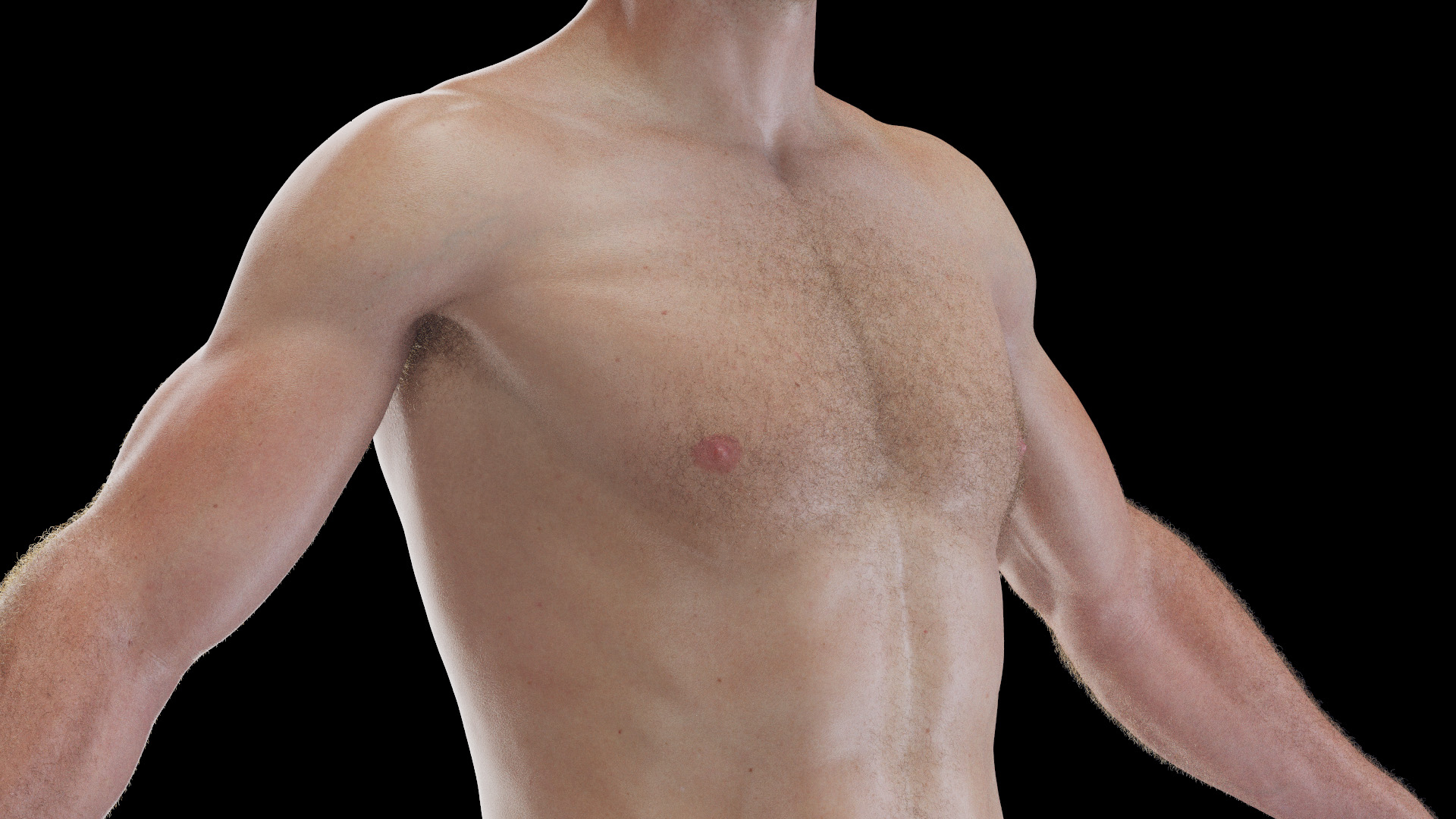 3D Male Full Anatomy Rigged https://p.turbosquid.com/ts-thumb/WL/Zluq7k/dF/anatomy_v2_male_tt_2/jpg/1684356995/1920x1080/turn_fit_q99/5bc3ab6c04cc906bfec414077197ea3fb9406ddc/anatomy_v2_male_tt_2-1.jpg