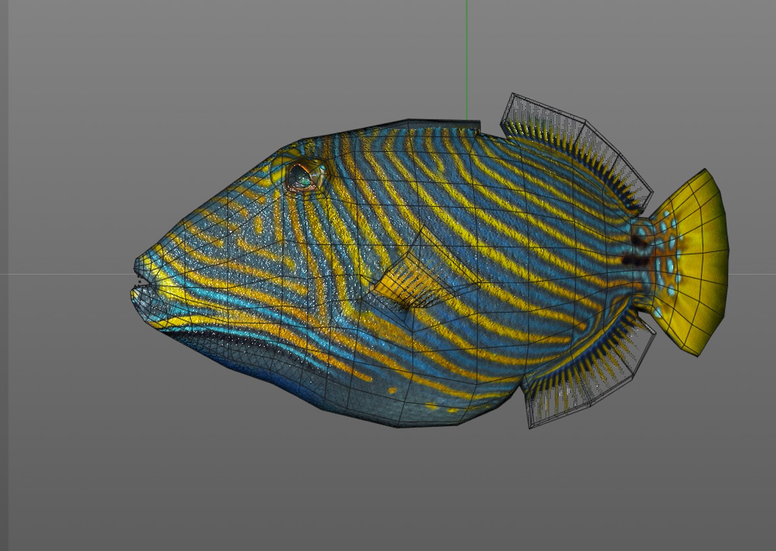 3D model fish https://p.turbosquid.com/ts-thumb/WL/eW4JjK/LiSe4uNA/10/png/1588405126/1920x1080/fit_q87/e7956cd9f1274321b7aadaaae882965f1d45cfdc/10.jpg
