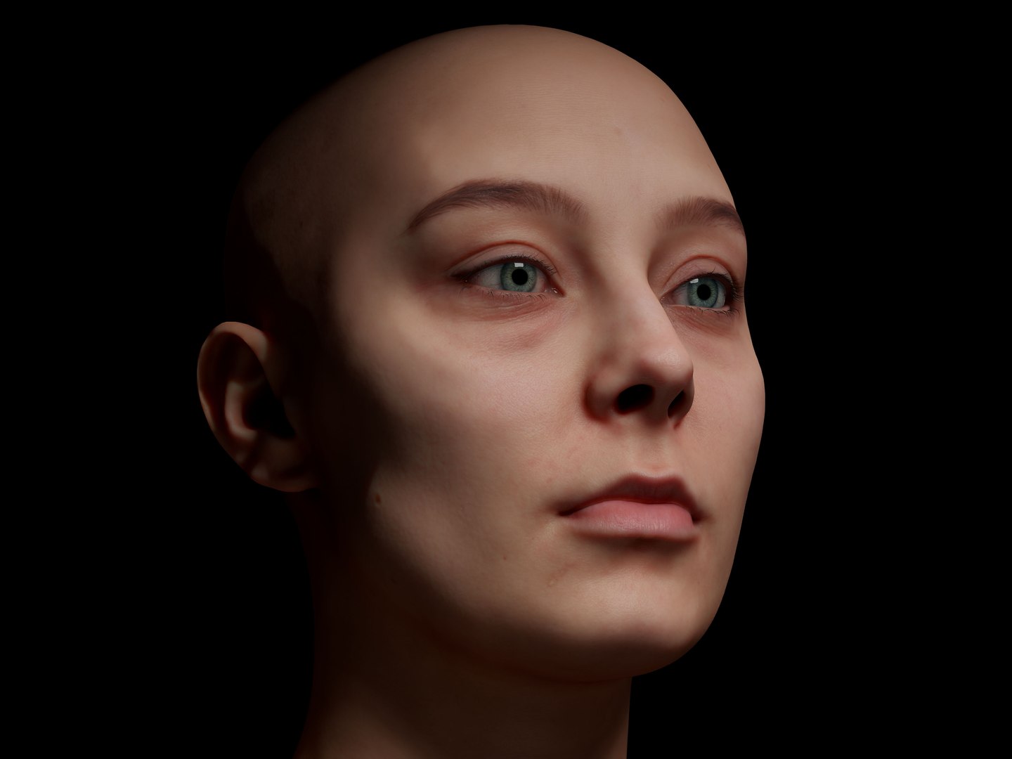 3D Retopologized Head Scan Anneli model https://p.turbosquid.com/ts-thumb/WL/fDZMxm/9J/07kopie/jpg/1657637584/1920x1080/fit_q87/416f8928b36ff4d917383eb78516f41815a8ff77/07kopie.jpg
