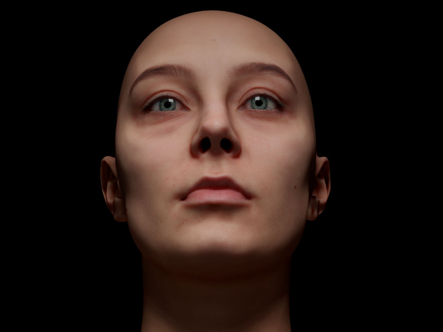 3D Retopologized Head Scan Anneli model https://p.turbosquid.com/ts-thumb/WL/fDZMxm/Gm/10kopie/jpg/1657637586/1920x1080/fit_q87/1fe8c29af7506a51285f6805057f19bc426f1991/10kopie.jpg