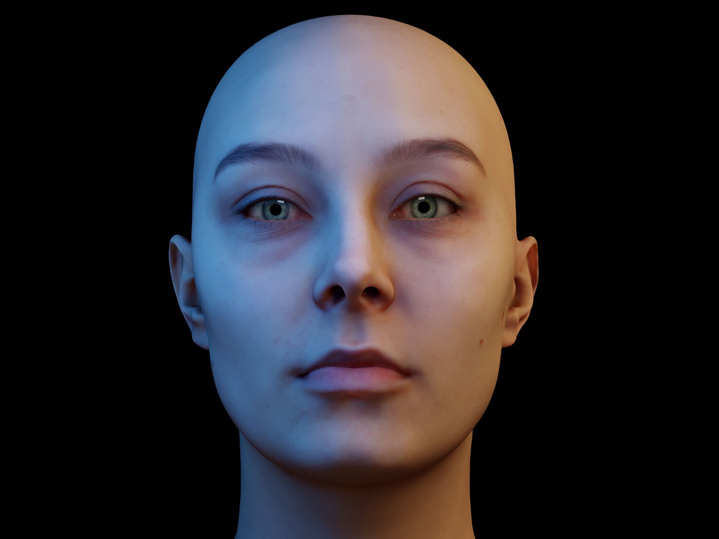 3D Retopologized Head Scan Anneli model https://p.turbosquid.com/ts-thumb/WL/fDZMxm/Sk/12kopie/jpg/1657637587/1920x1080/fit_q87/59700598ebf2da3fc29812c5c3c94d69c7bc74eb/12kopie.jpg