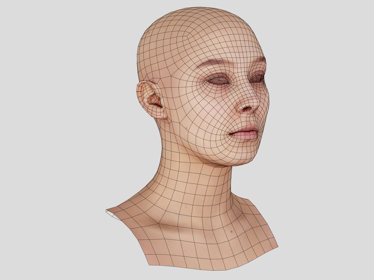 3D Retopologized Head Scan Anneli model https://p.turbosquid.com/ts-thumb/WL/fDZMxm/e3/15kopie/jpg/1657637589/1920x1080/fit_q87/cffd9aaf32721ef6e3297325bf3dbcd9df4f9cf9/15kopie.jpg