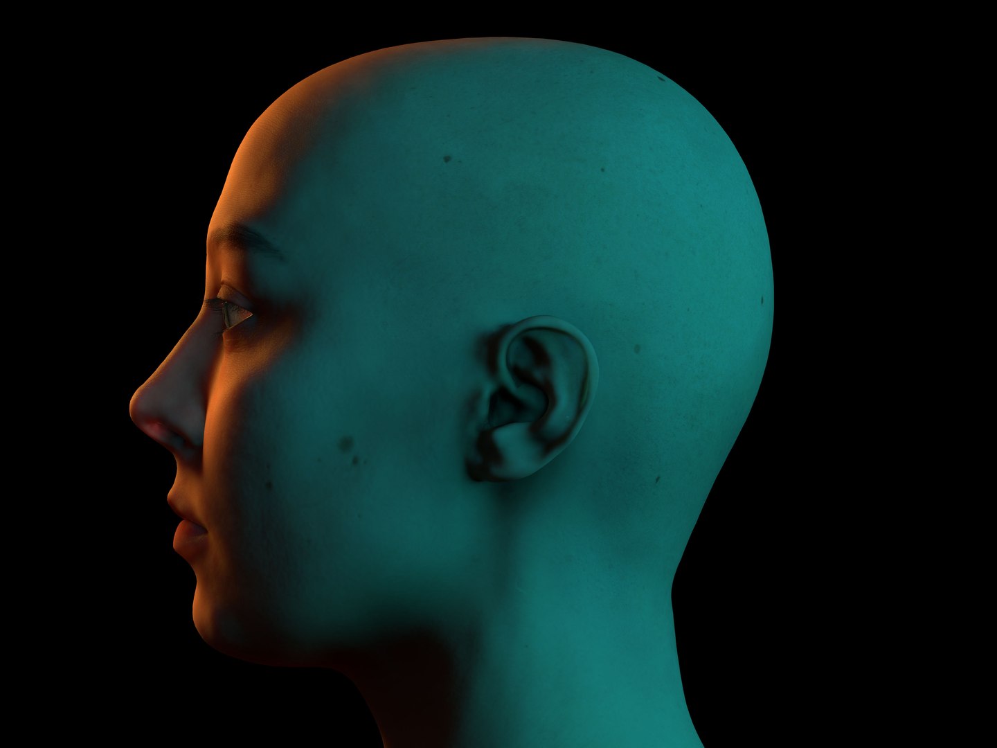 3D Retopologized Head Scan Anneli model https://p.turbosquid.com/ts-thumb/WL/fDZMxm/gQ/11kopie/jpg/1657637586/1920x1080/fit_q87/3c512525bc443b54db681a05f5d50c305c56d8a1/11kopie.jpg