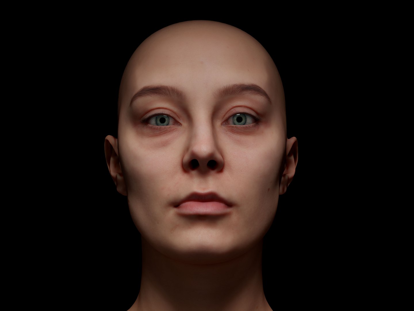 3D Retopologized Head Scan Anneli model https://p.turbosquid.com/ts-thumb/WL/fDZMxm/q6/08kopie/jpg/1657637584/1920x1080/fit_q87/9b746a45f37c3e1ac349001eeefcc8b98fce33ae/08kopie.jpg