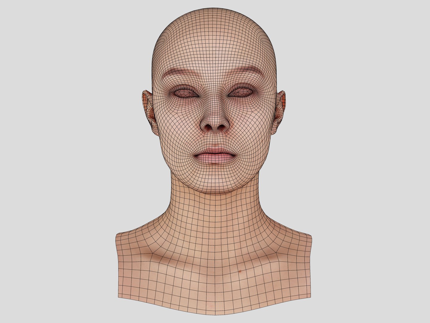 3D Retopologized Head Scan Anneli model https://p.turbosquid.com/ts-thumb/WL/fDZMxm/wG/14kopie/jpg/1657637588/1920x1080/fit_q87/8ff3dcbe1afdf12c6348116155d65a8be9b9e50b/14kopie.jpg