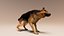 German Shepherd  Dynamic Fur Ears Tail 3D model
