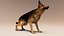 German Shepherd  Dynamic Fur Ears Tail 3D model