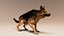 German Shepherd  Dynamic Fur Ears Tail 3D model