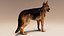German Shepherd  Dynamic Fur Ears Tail 3D model