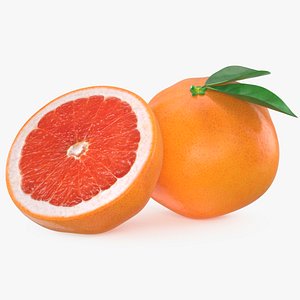 realistic grapefruit pose 2 3d 3ds