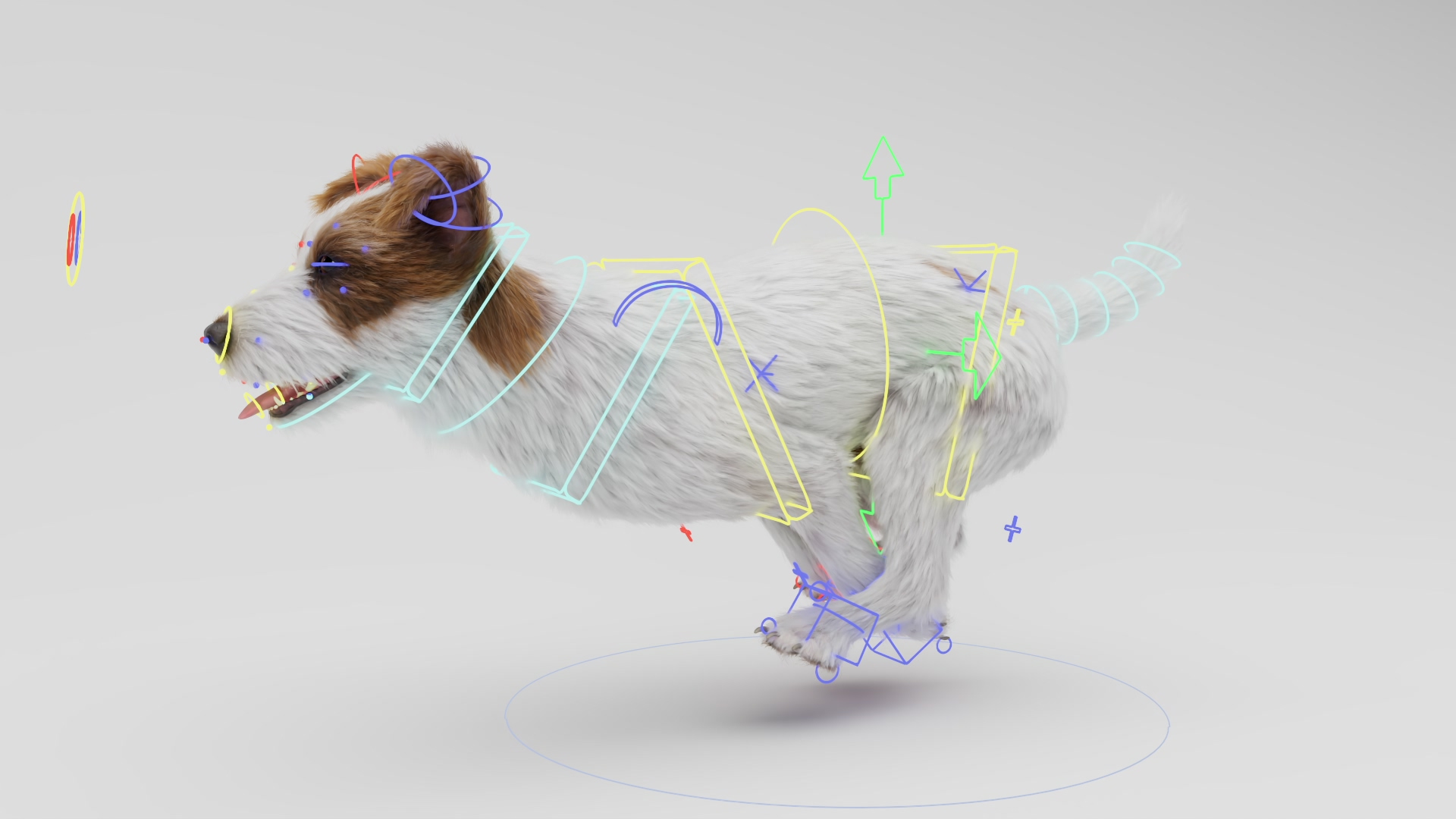3D Jack Russell Terrier Model - TurboSquid 2355123