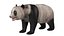 Oso panda
