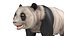 Oso panda