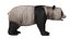 Oso panda
