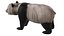 Oso panda