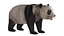 Oso panda