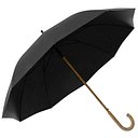 Umbrella 01 c