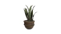 Outdoor Plant-01