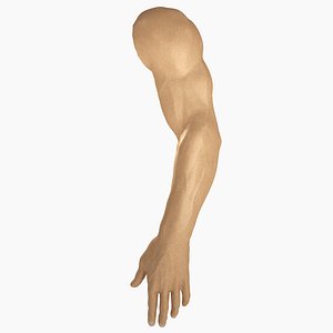 3D male arm model