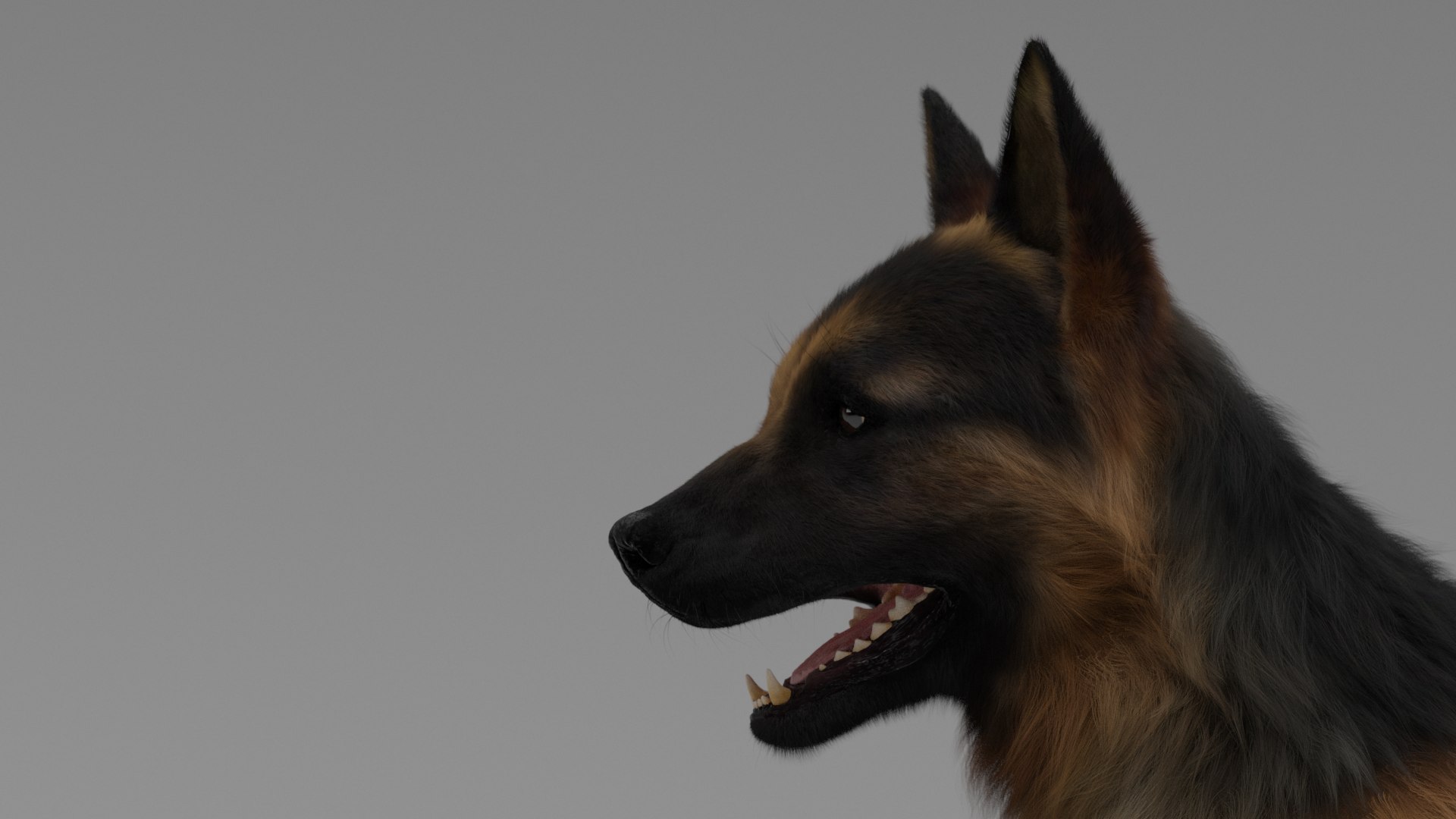 Dog German Shepherd 3D Model - TurboSquid 1442244