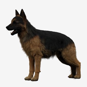 dog german shepherd 3D model