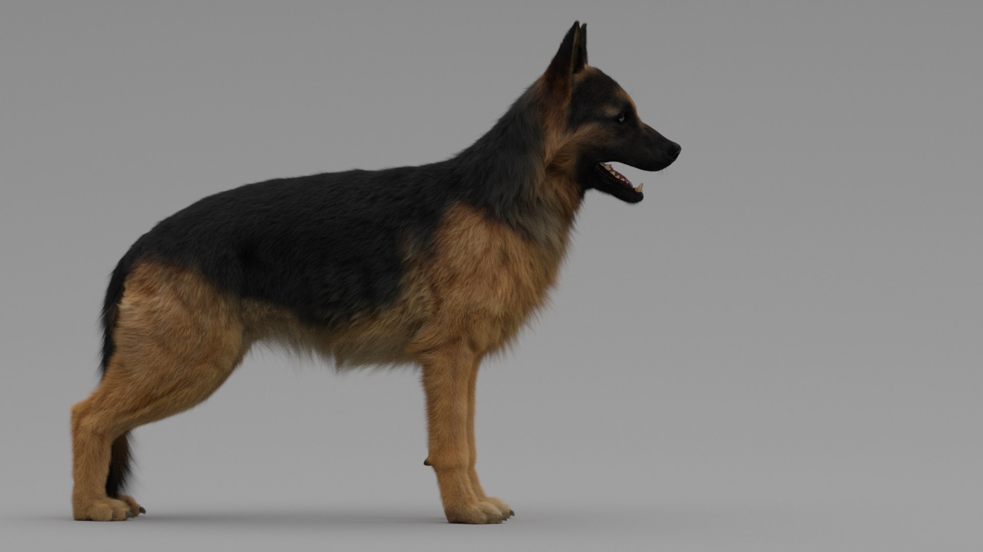 Dog German Shepherd 3D Model - TurboSquid 1442244