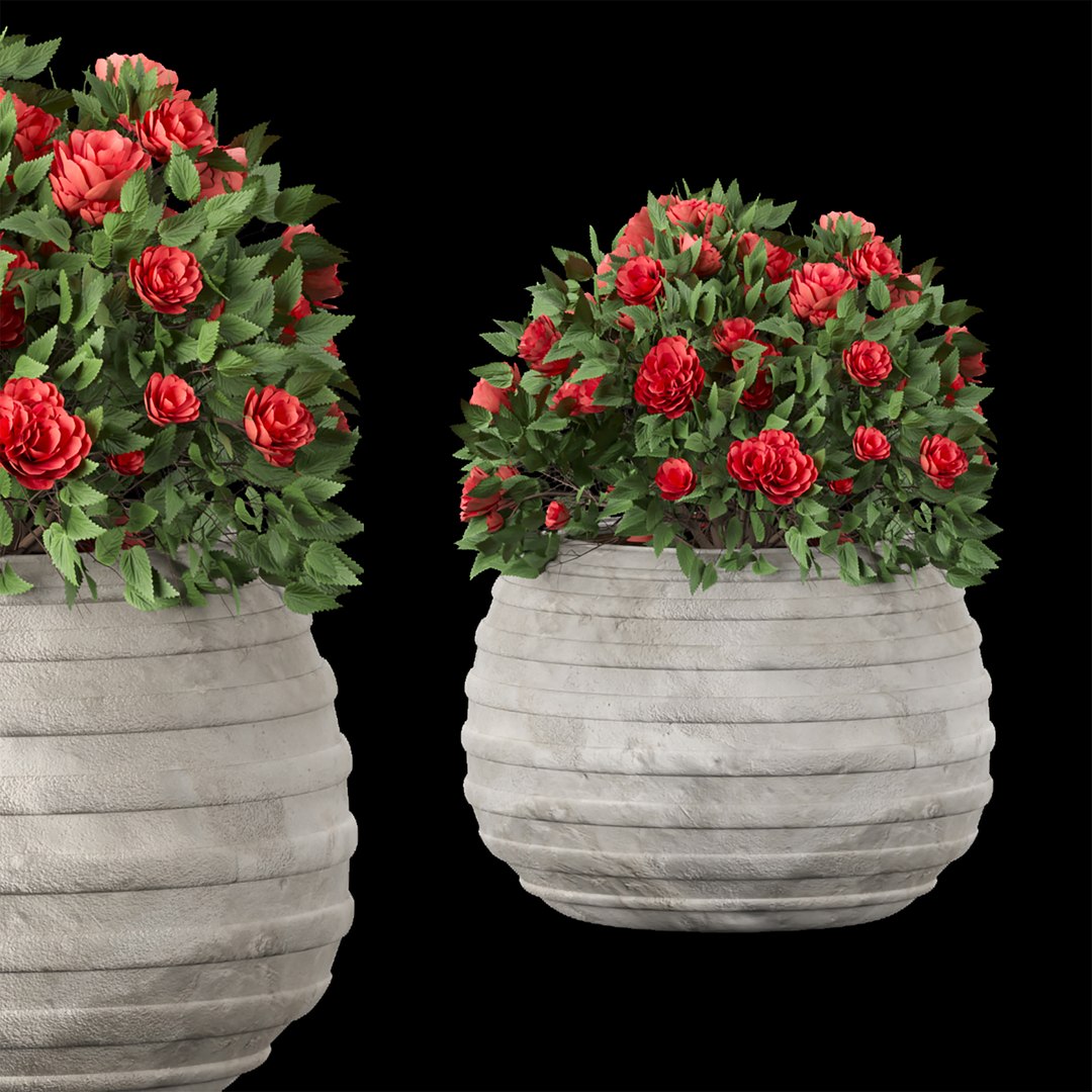 Collection Flowering Bush Vol 16 3D Model - TurboSquid 1947650