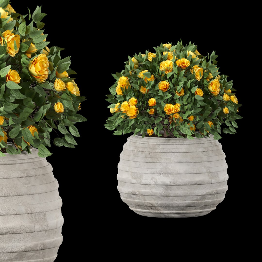 Collection Flowering Bush Vol 16 3D Model - TurboSquid 1947650