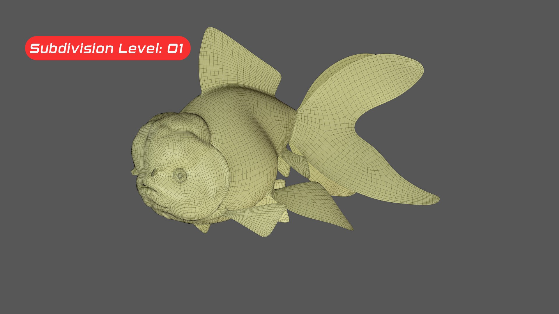 Goldfish Veiltail Fish Collection 8K 3D model https://p.turbosquid.com/ts-thumb/WM/dfztE4/5E/image13/png/1659808634/1920x1080/fit_q87/19da0e8fe64cc83a6a01d253eba2b831b5ec385c/image13.jpg