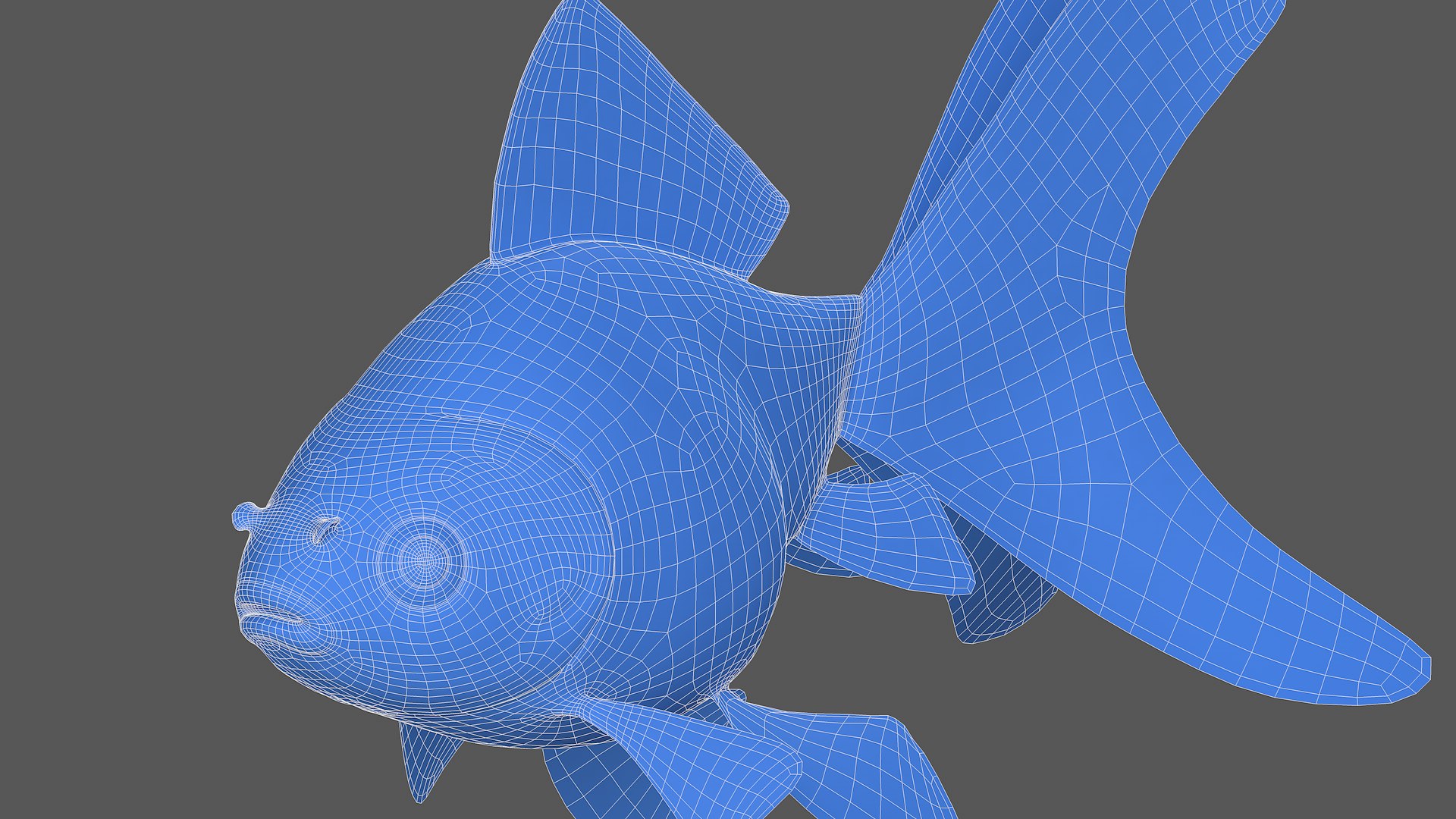 Goldfish Veiltail Fish Collection 8K 3D model https://p.turbosquid.com/ts-thumb/WM/dfztE4/Ef/image18888/png/1659811813/1920x1080/fit_q87/4e9647b57fce89cea33f61fc72cbbdf9ec461290/image18888.jpg