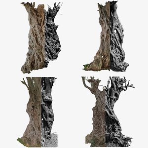 4 Olive High-Resolution Tree 3D scans in One Bundle