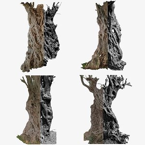 4 Olive High-Resolution Tree 3D scans in One Bundle