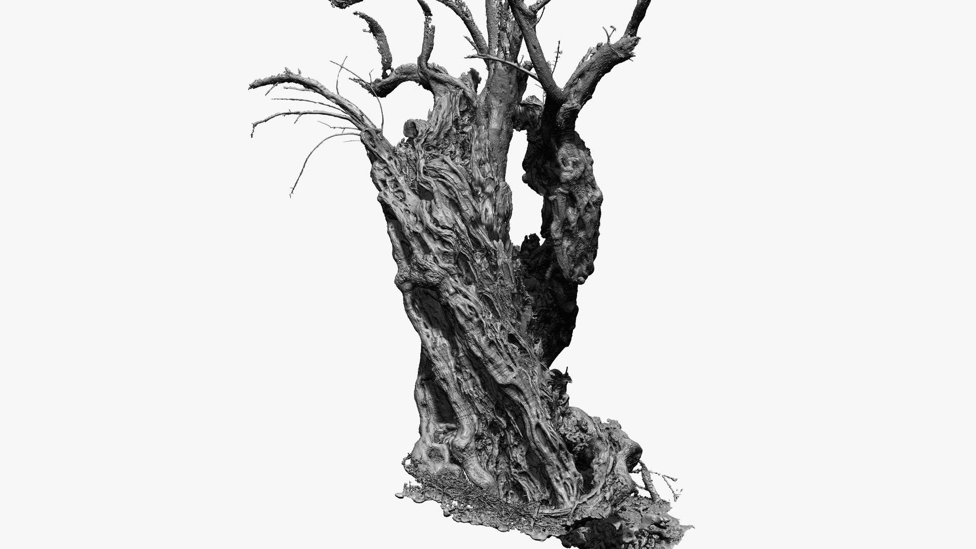 4 Olive High-Resolution Tree 3D scans in One Bundle 3D https://p.turbosquid.com/ts-thumb/WM/mAhTCU/6C/271/jpg/1773788952/1920x1080/fit_q87/3a9755e7509ab8d4e165b07527a71050e72ef87b/271.jpg