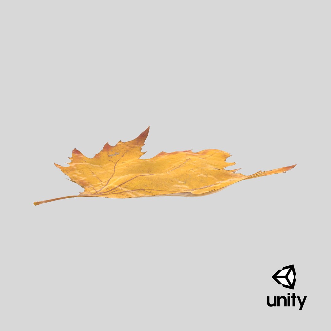 3D Prop Autumn Leaves Type 10 - TurboSquid 2151113