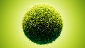 Grass with Particle System 3D model
