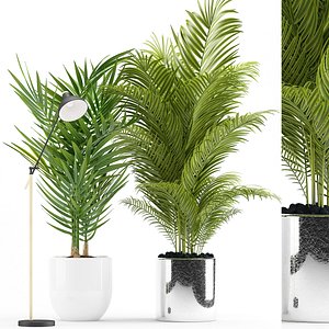 plants 191 palm light model