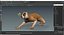 Lemur Slow Loris Rigged for Maya